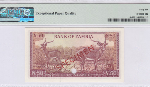 Zambia 50 Ngwee 1968 P4s PMG66 EPQ